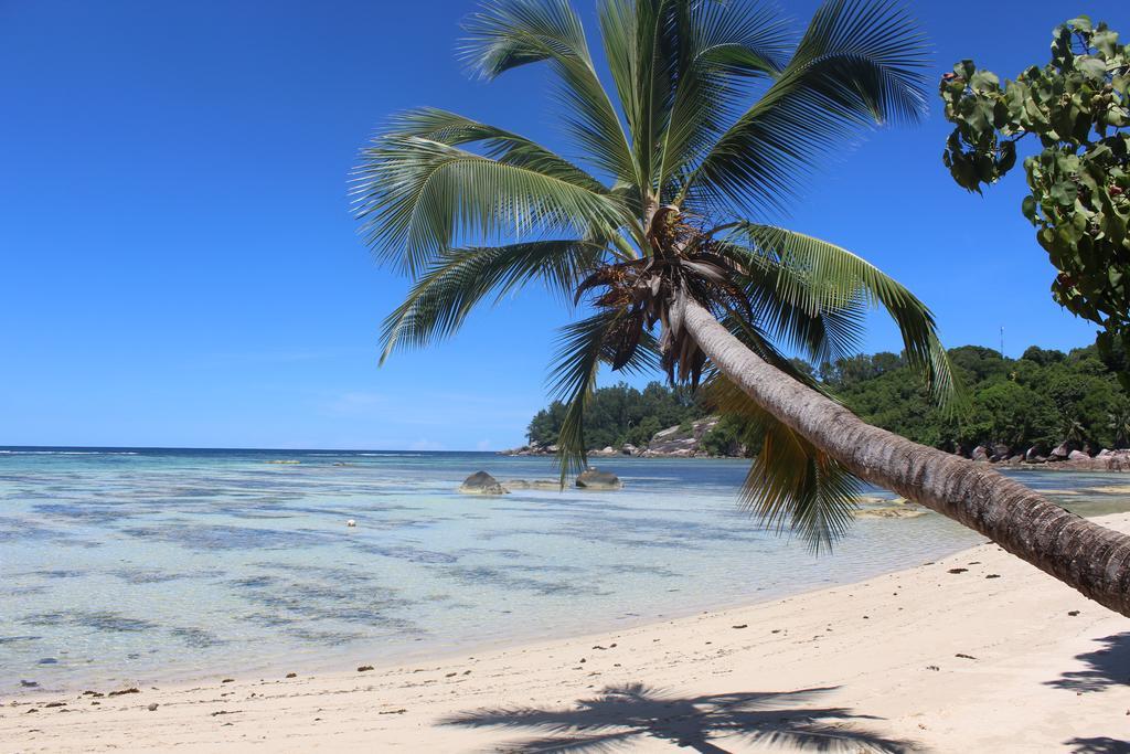 Villa Kordia Pointe Au Sel Buitenkant foto